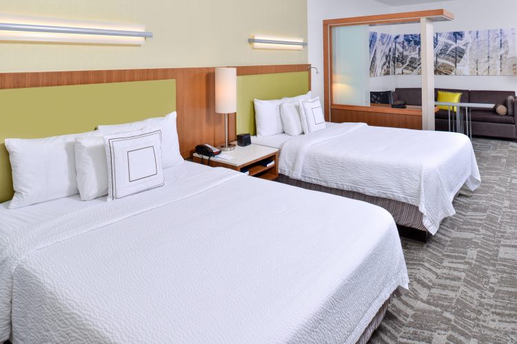 SpringHill Suites by Marriott Detroit Metro Airport Romulus , MI 48174 near Detroit Metropolitan Wayne County Airport View Point 15