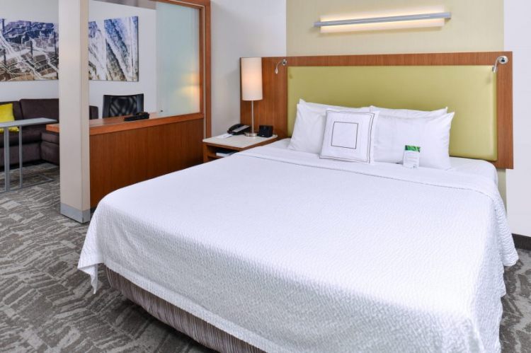 SpringHill Suites by Marriott Detroit Metro Airport Romulus , MI 48174 near Detroit Metropolitan Wayne County Airport View Point 17