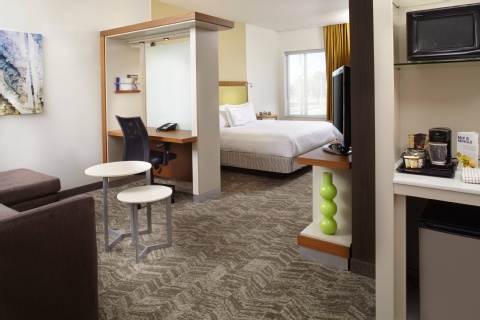 SpringHill Suites by Marriott Houston Intercontinental Airport , TX 77032 near George Bush Intercontinental Airport View Point 18