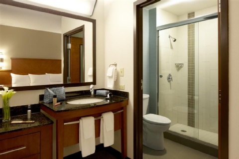 Hyatt Place Houston-North , TX 77060 near George Bush Intercontinental Airport View Point 23