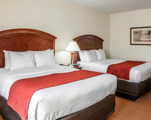 Comfort Suites near Indianapolis Airport , IN 46241 near Indianapolis International Airport View Point 22