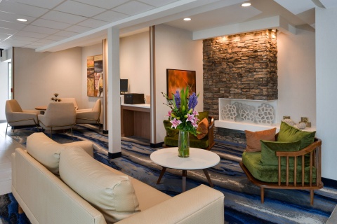 Fairfield Inn and Suites by Marriott Arlington Near Six Flags , TX 76006 near Dallas-fort Worth International Airport View Point 6