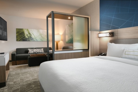 SpringHill Suites Dallas DFW Airport South-CentrePort , TX 76155 near Dallas-fort Worth International Airport View Point 12