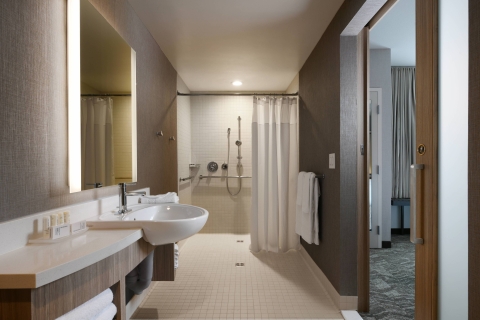 SpringHill Suites Dallas DFW Airport South-CentrePort , TX 76155 near Dallas-fort Worth International Airport View Point 11