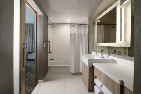 SpringHill Suites Dallas DFW Airport South-CentrePort , TX 76155 near Dallas-fort Worth International Airport View Point 8