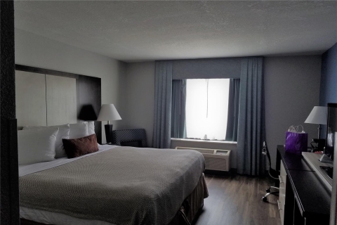 Wyndham Garden Jacksonville , FL 32256 near Jacksonville International Airport View Point 10