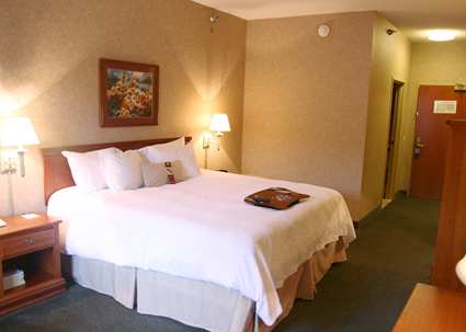 Hampton Inn Detroit/Belleville-Airport Area , Michigan 48111 near Detroit Metropolitan Wayne County Airport View Point 2