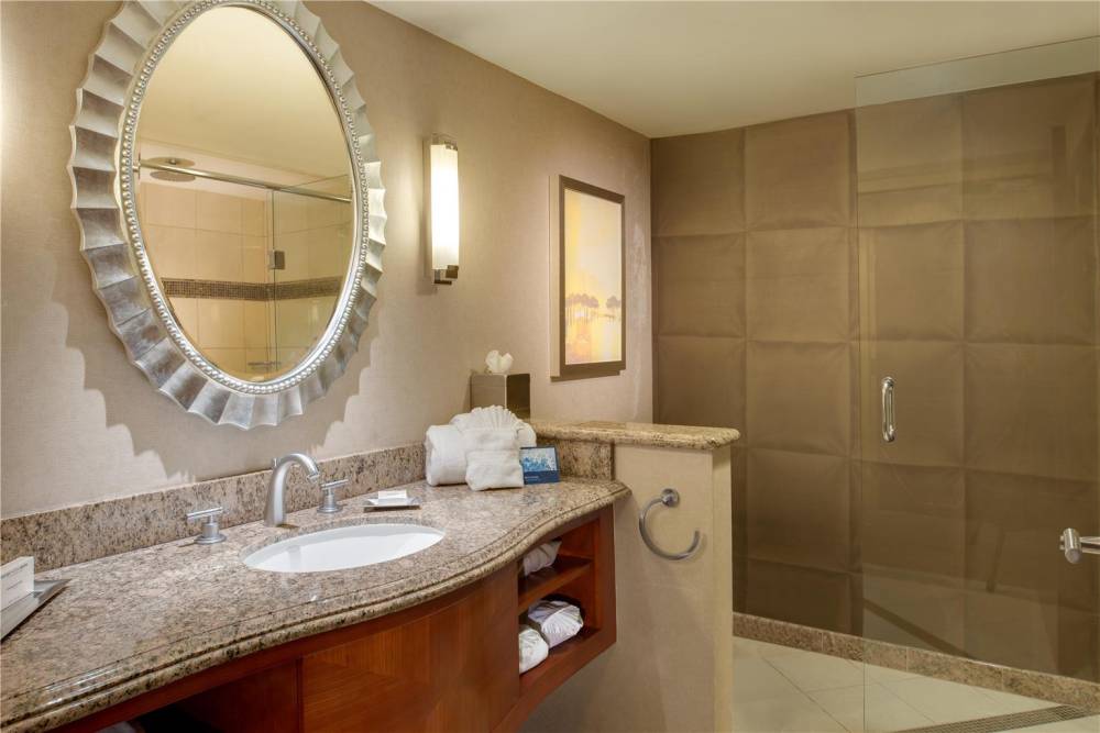 Doubletree By Hilton Washington Dulles Airport 5