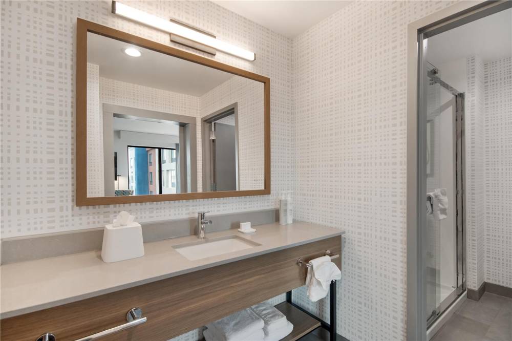 Hampton Inn And Suites By Hilton Irving Dfw Airport North 10
