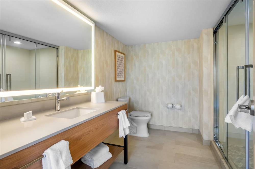 Hampton Inn By Hilton Addison Dallas 8