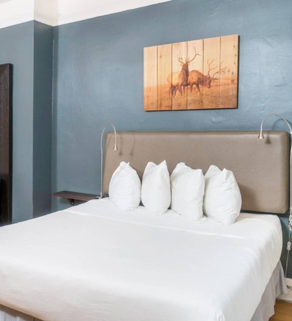 Herbert Hotel 7