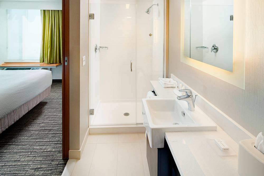Springhill Suites By Marriott Carle Place Garden City 1