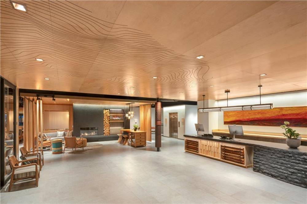 The Wildbirch Hotel Part Of Jdv By Hyatt 3